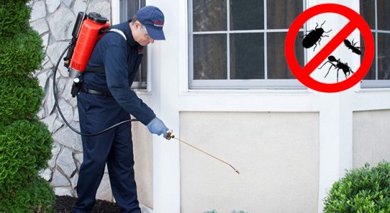 Burhaniye Böcek İlaçlama böcek ilaçlama ve haşere kontrolü — ilaclama-tr.com